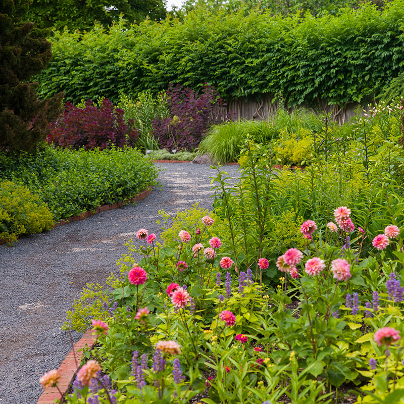 English Walled Garden - summer