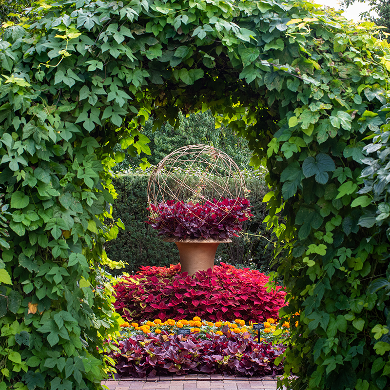 Circle Garden - fall