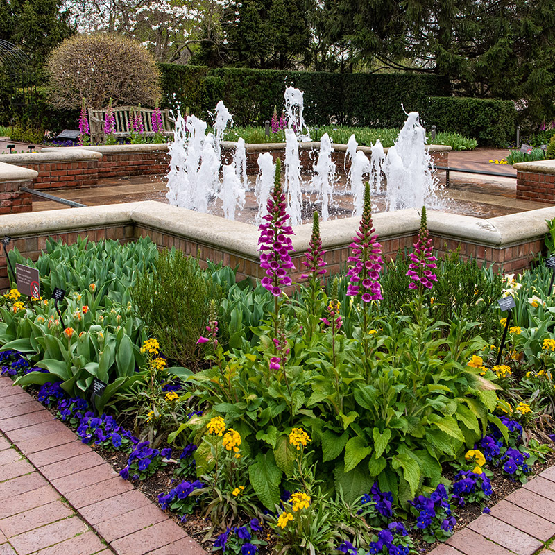 Circle Garden - spring