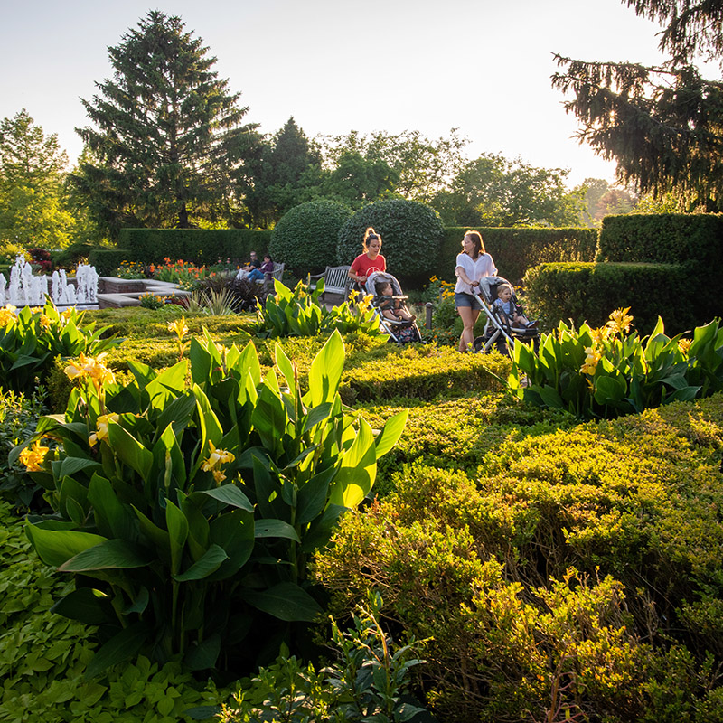 Circle Garden - summer