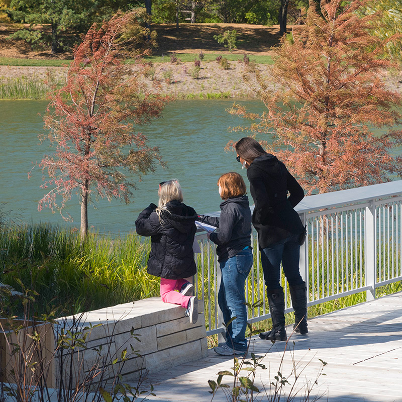 Kleinman Family Cove - fall