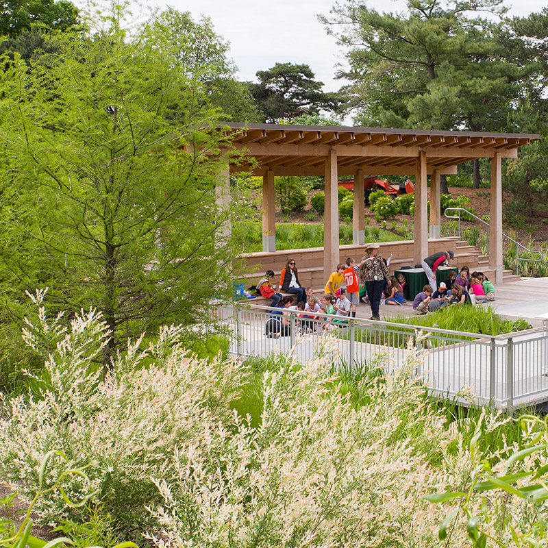 Kleinman Family Cove - spring