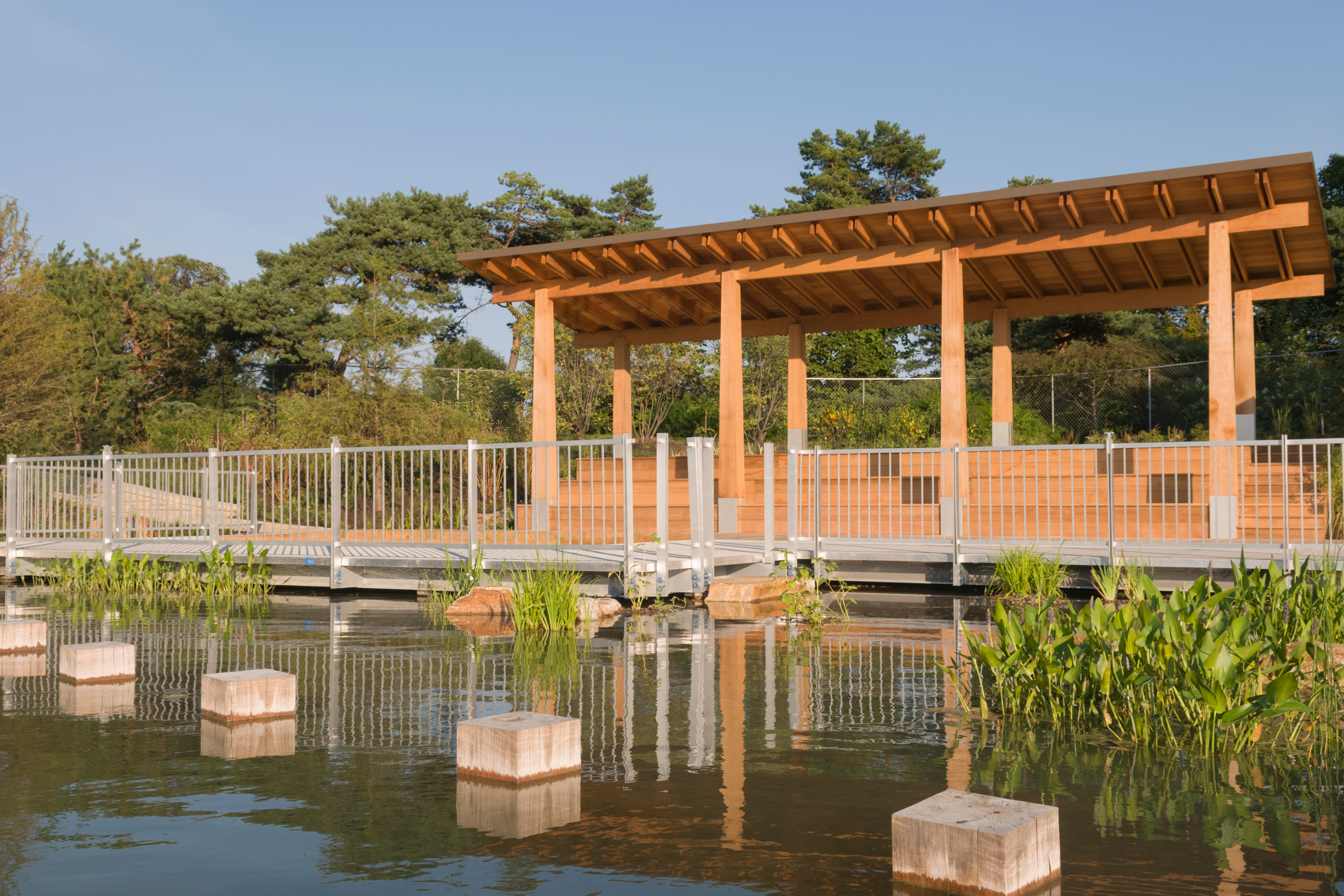 Kleinman Family Cove - summer