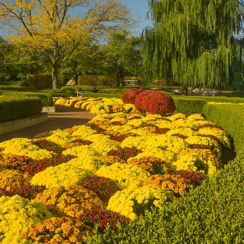 Crescent Garden - fall