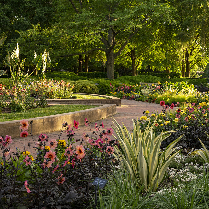 Crescent Garden - summer