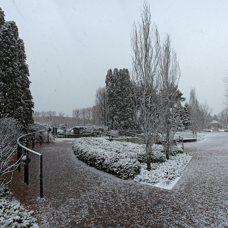 Crescent Garden - winter