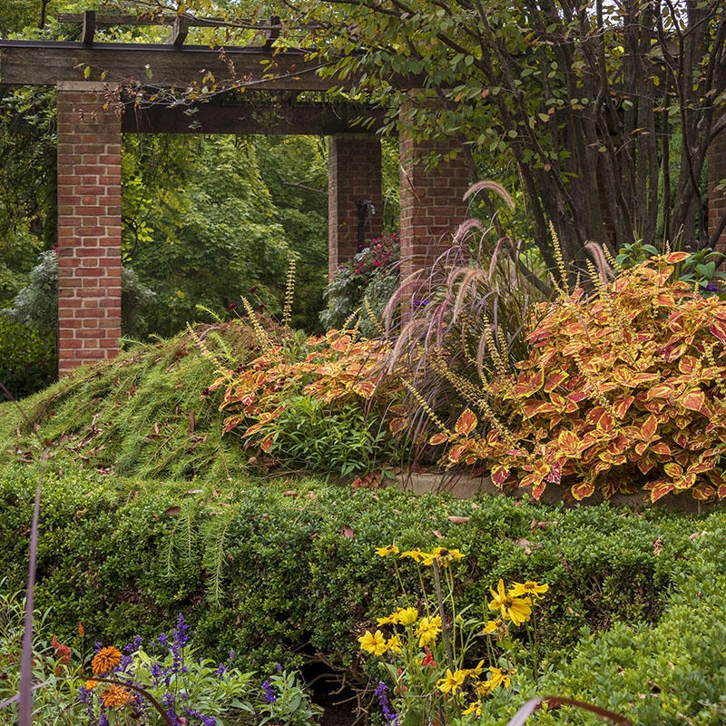Enabling Garden - fall