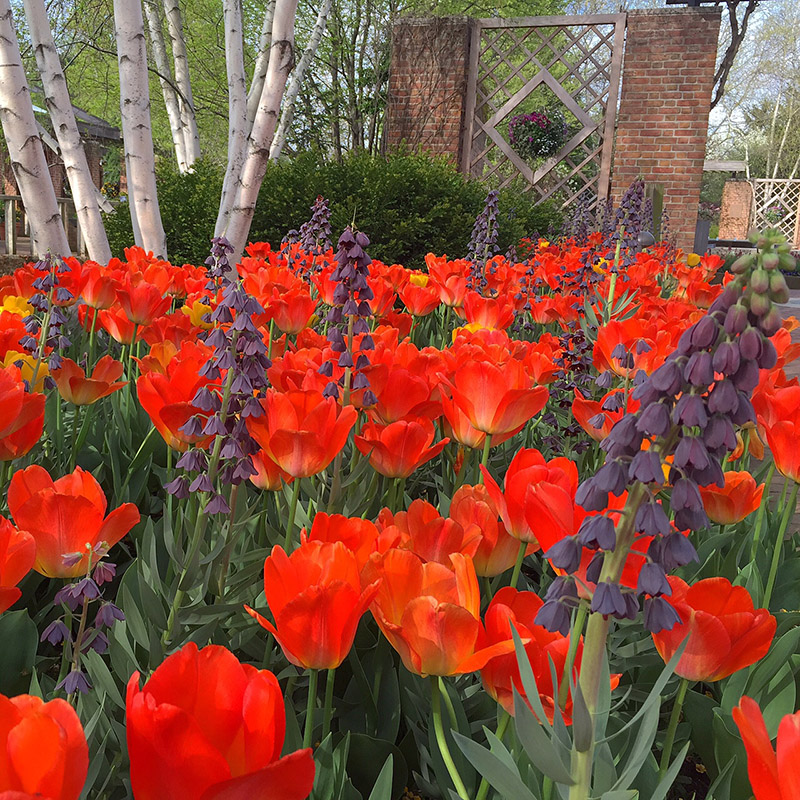 Enabling Garden - spring