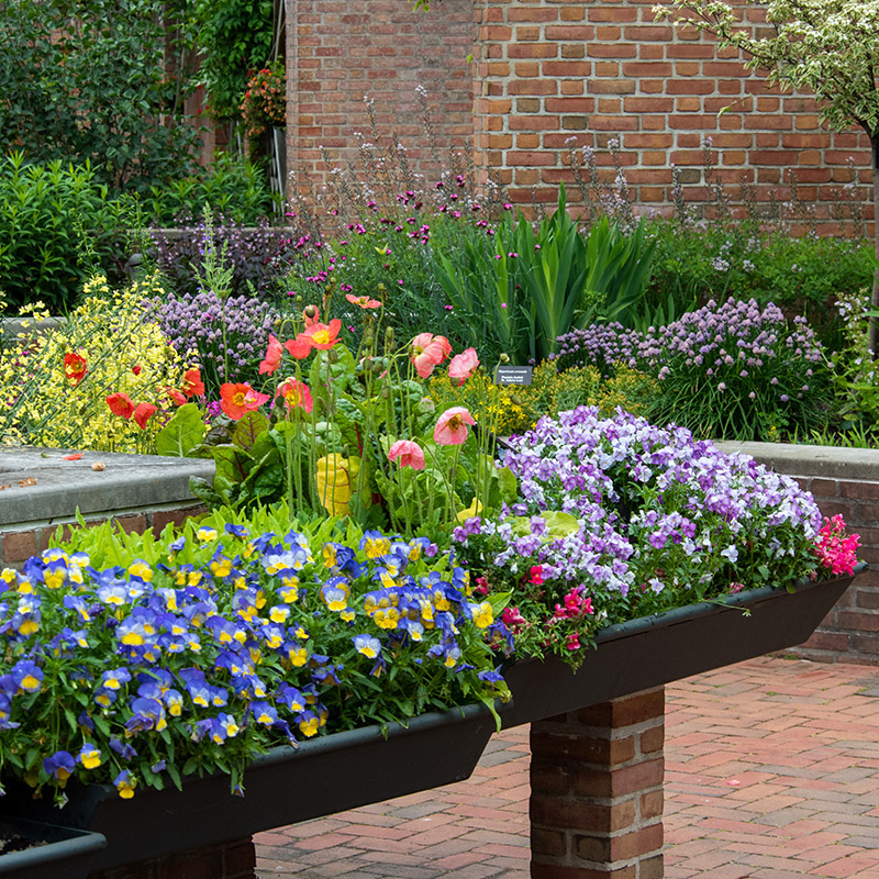Enabling Garden - summer