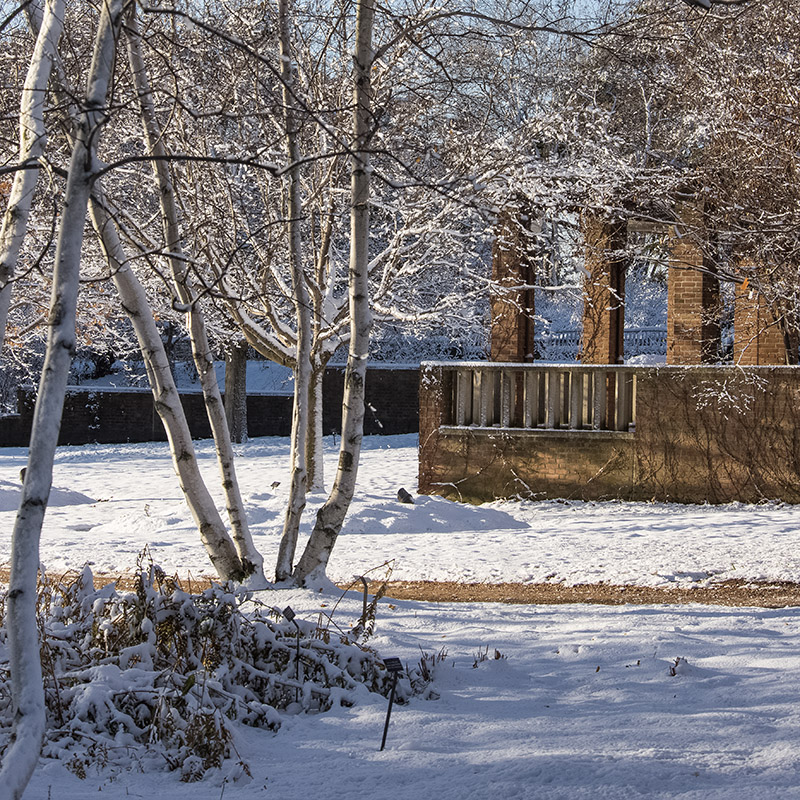 Enabling Garden - winter