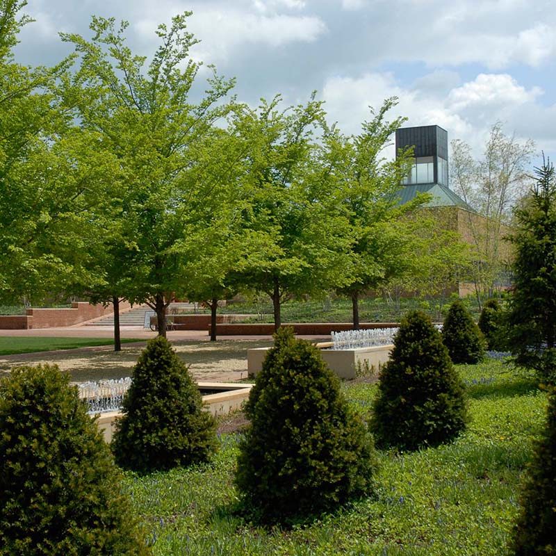Esplanade - spring