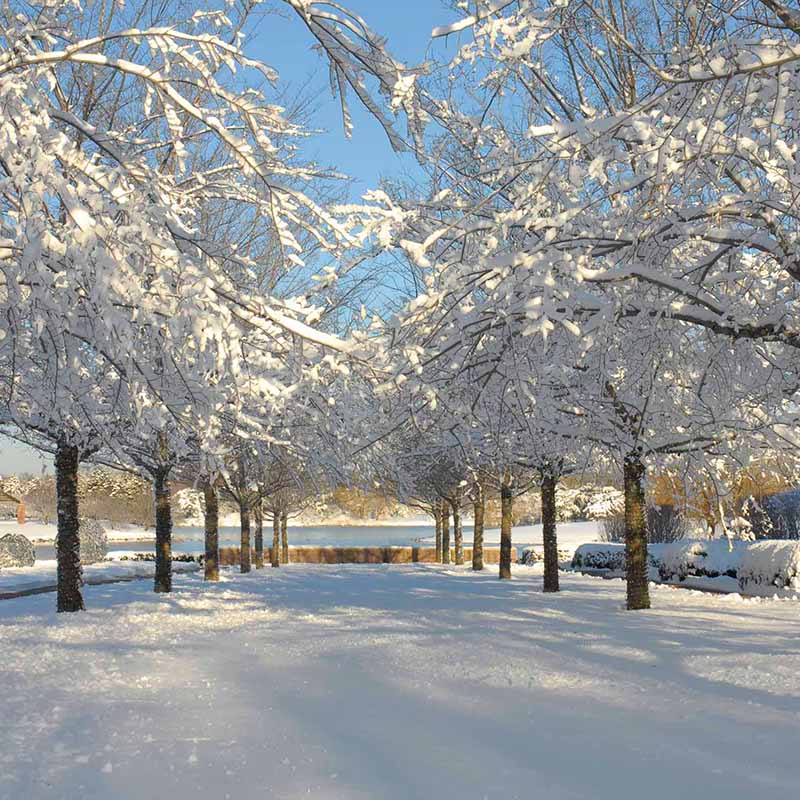 Esplanade - winter