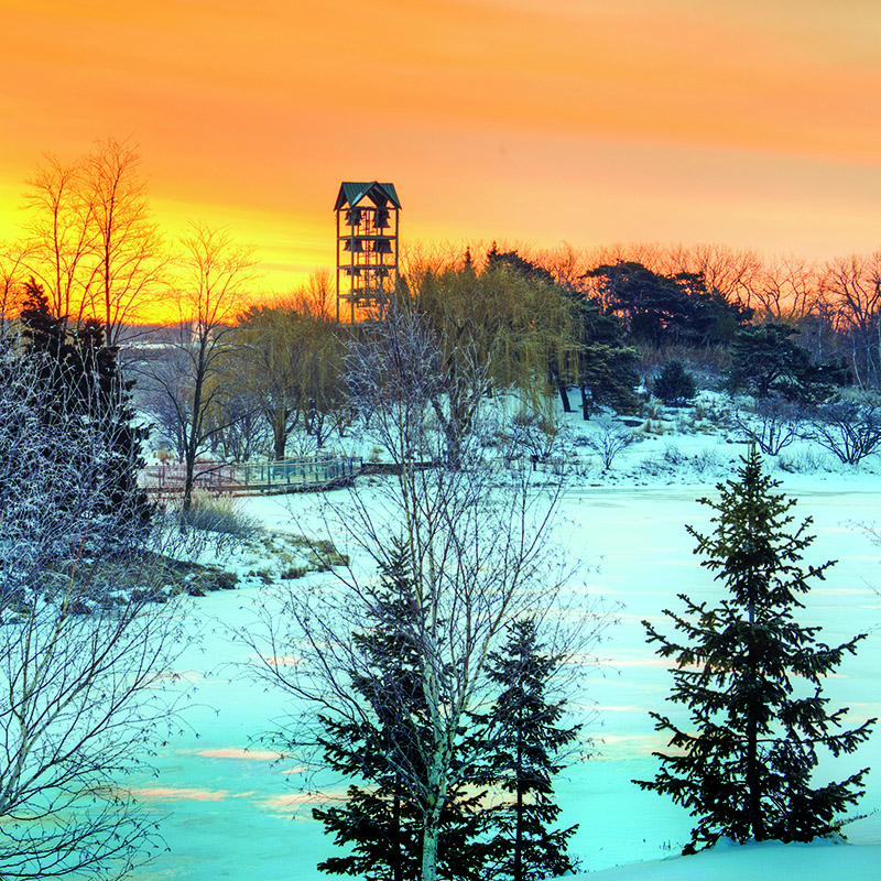 Evening Island - winter