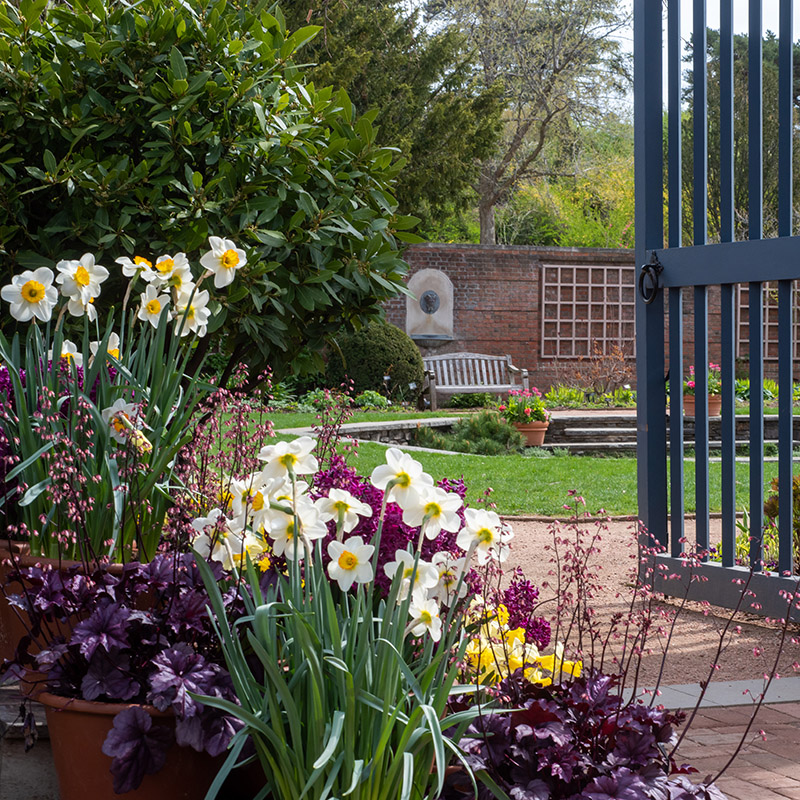 English Walled Garden - spring