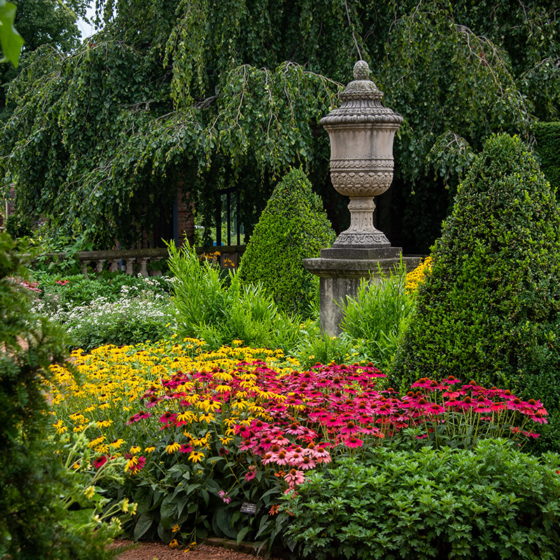 English Walled Garden - summer