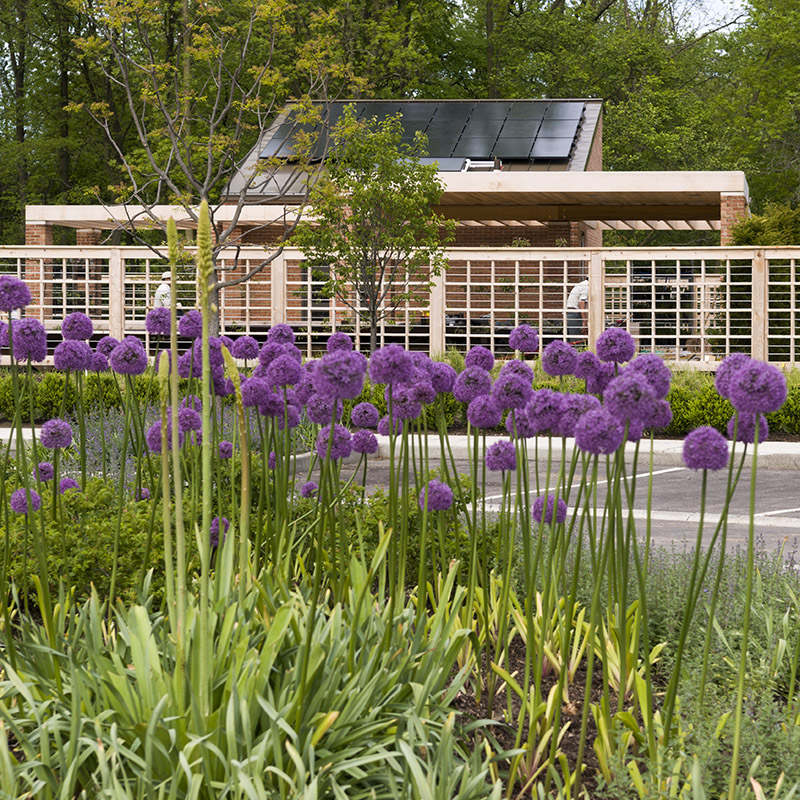Grunsfeld Children's Garden - spring