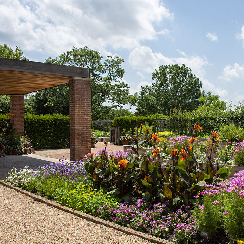 Grunsfeld Children's Garden - summer