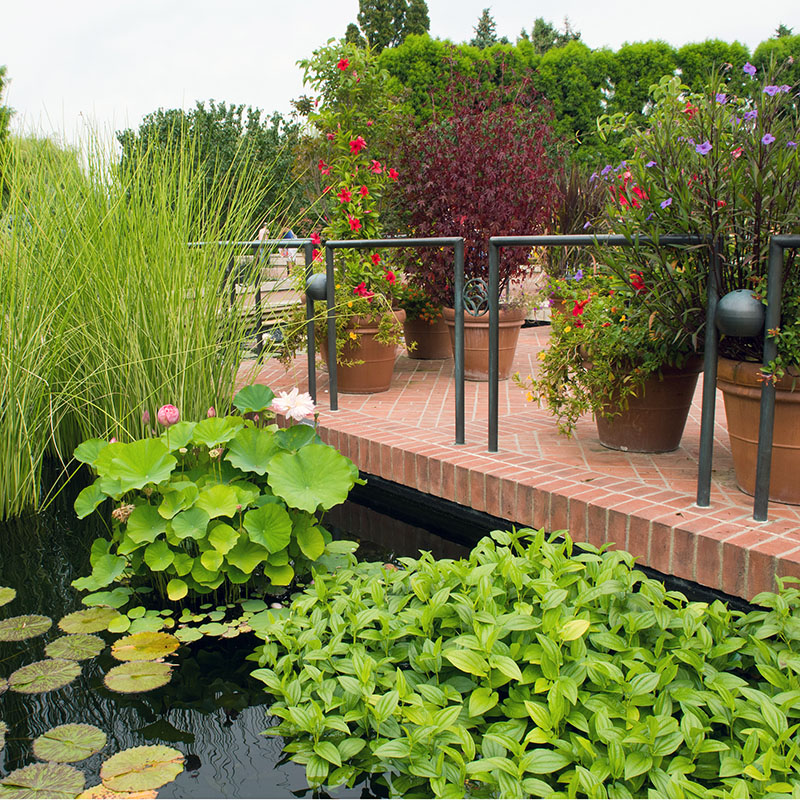 Heritage Garden - fall