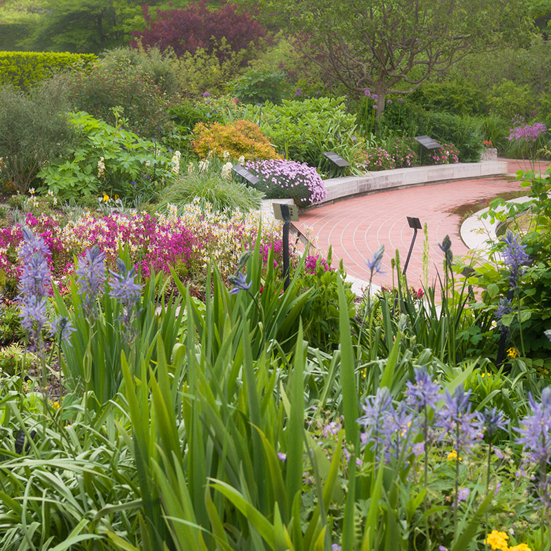 Heritage Garden - spring