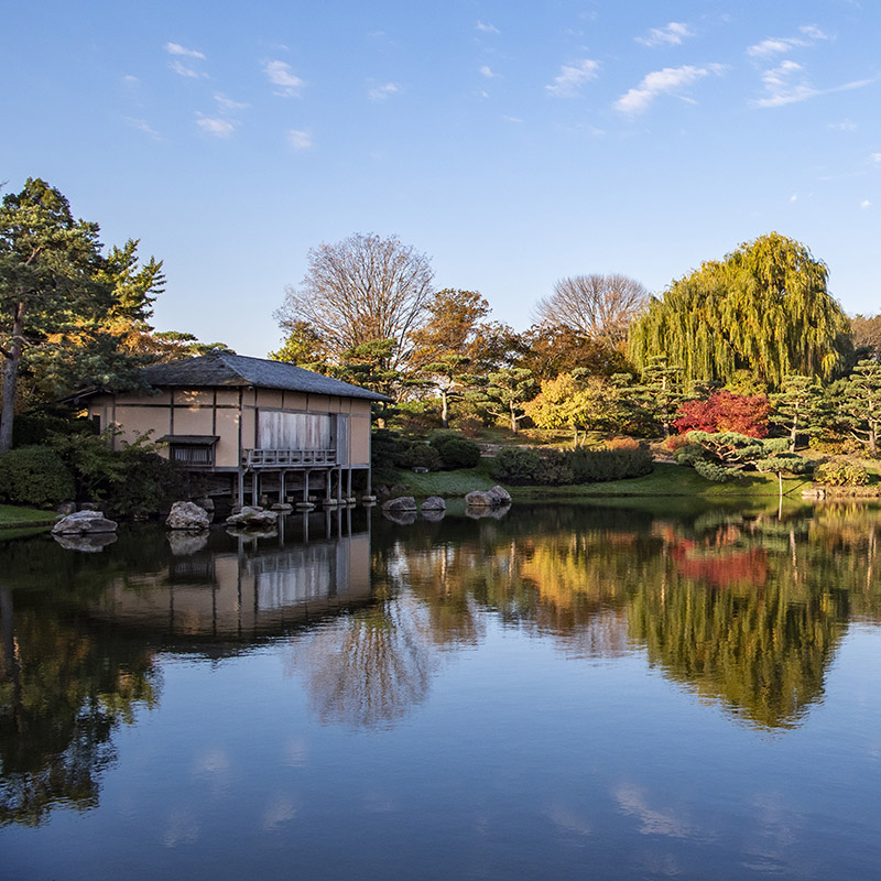 Japanese Garden - spring