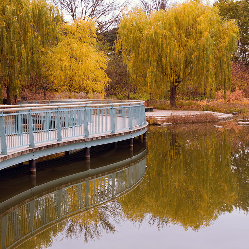 Lakeside Garden - fall