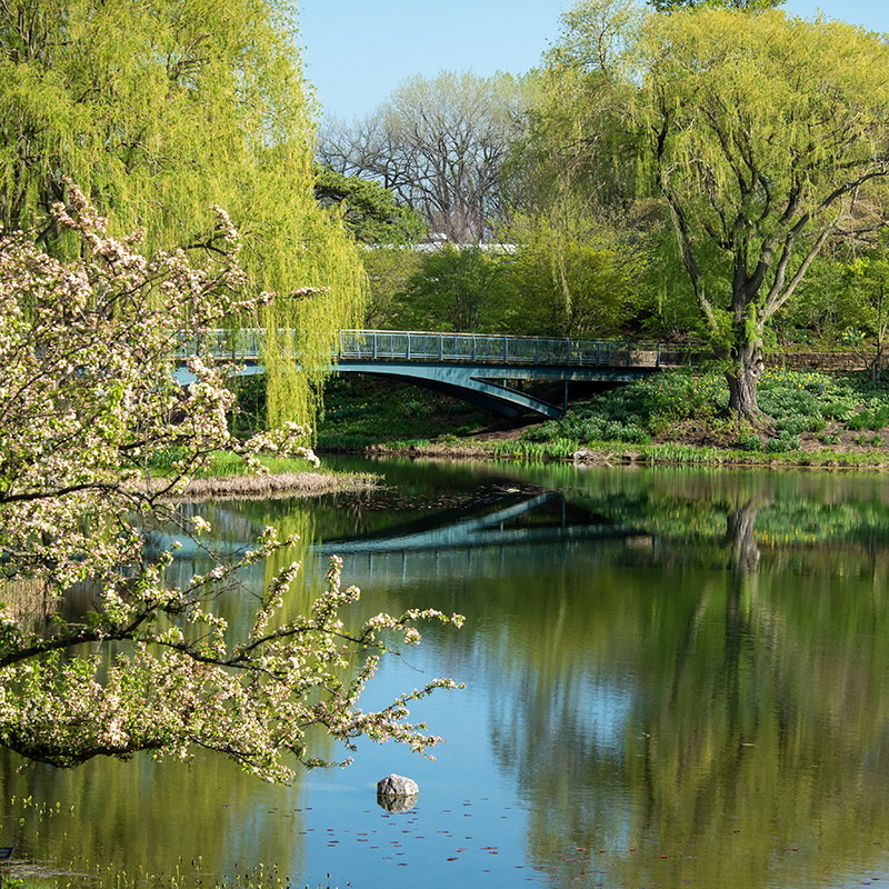 Lakeside Garden - spring