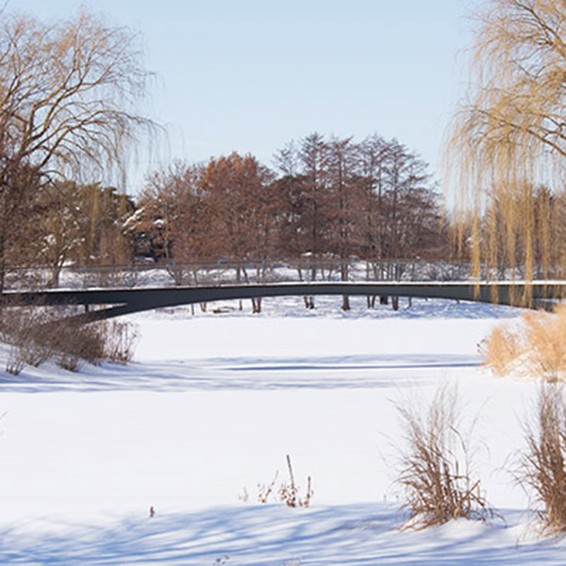 Lakeside Garden - winter