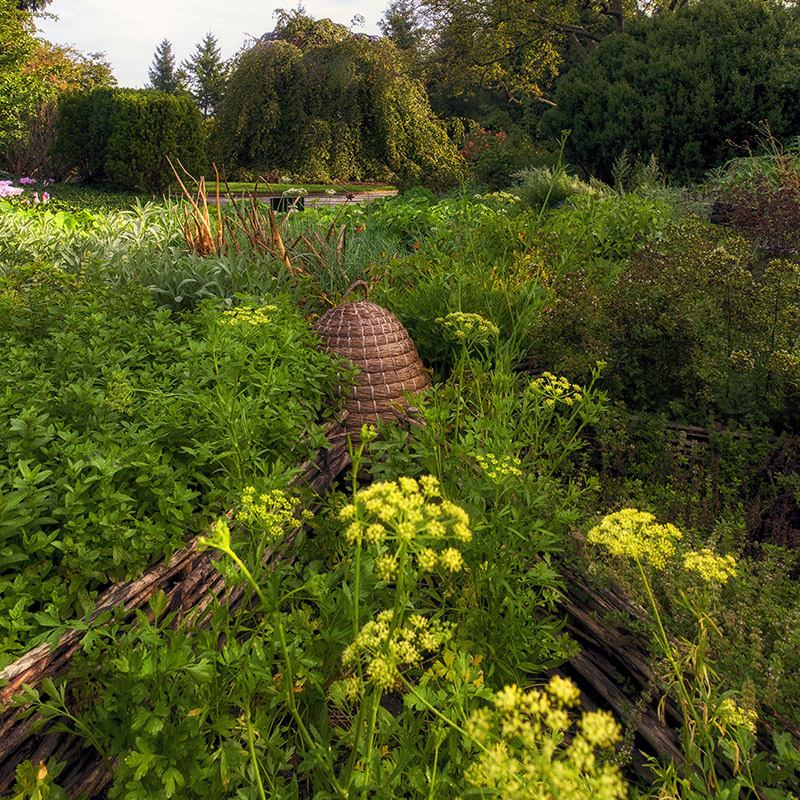 Landscape Garden - fall