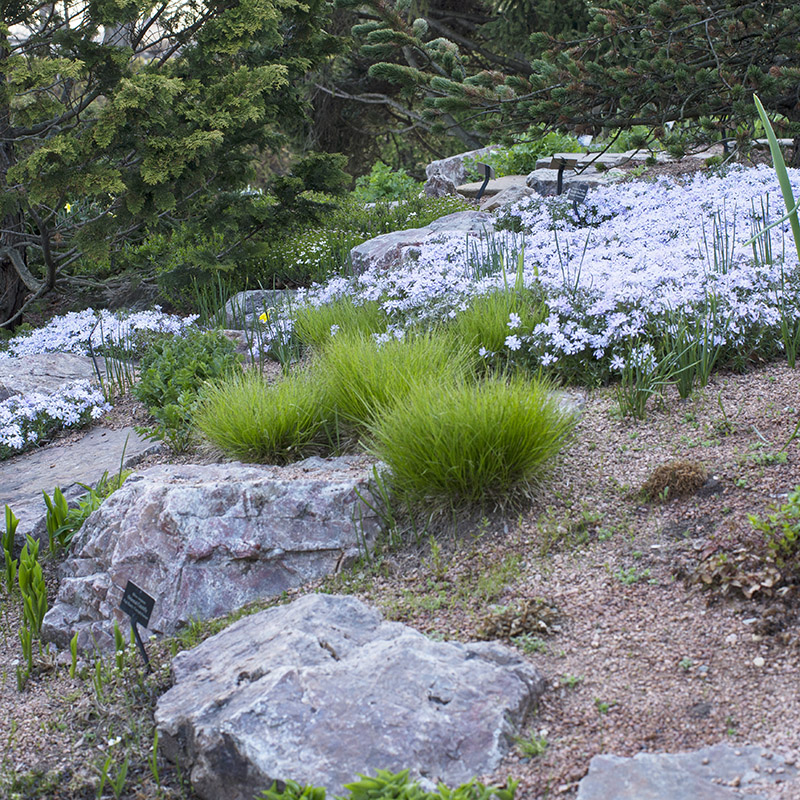 Landscape Garden - spring