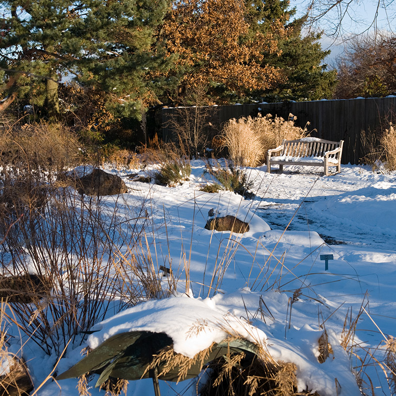 Landscape Garden - winter