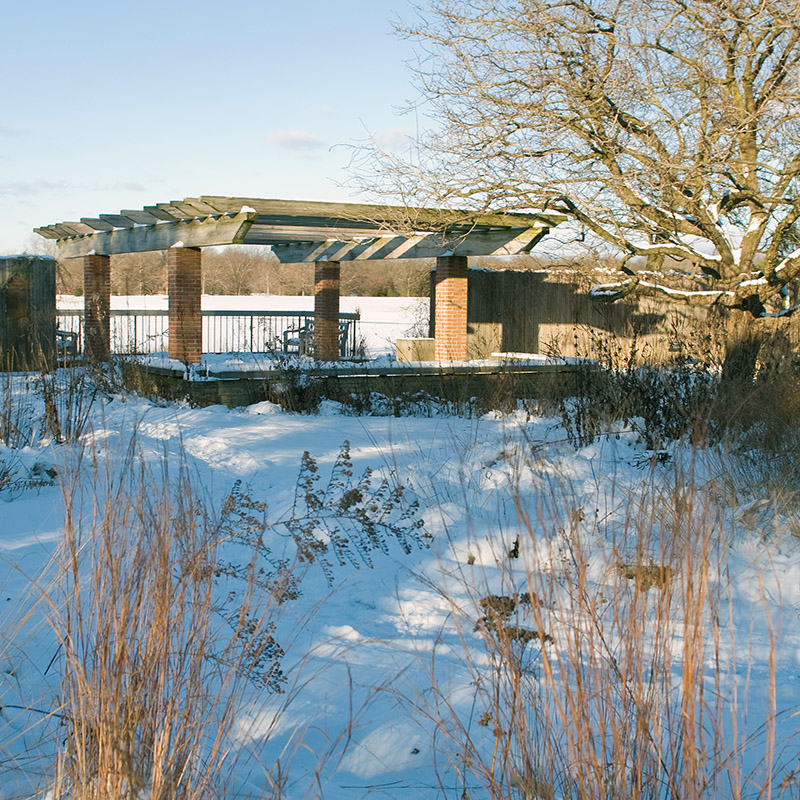 Native Garden - winter