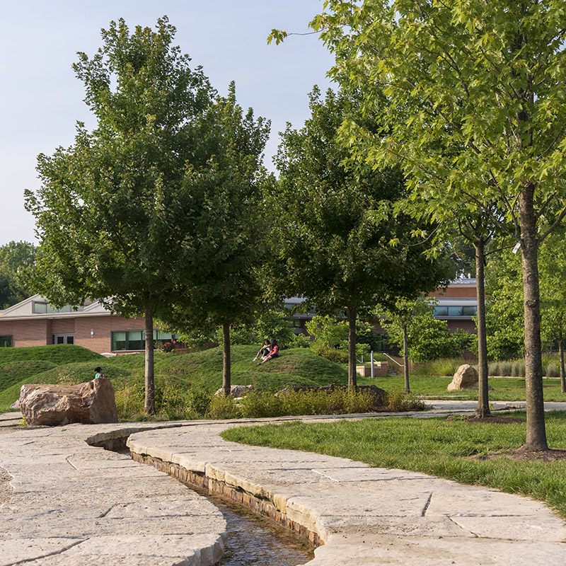Nature Play