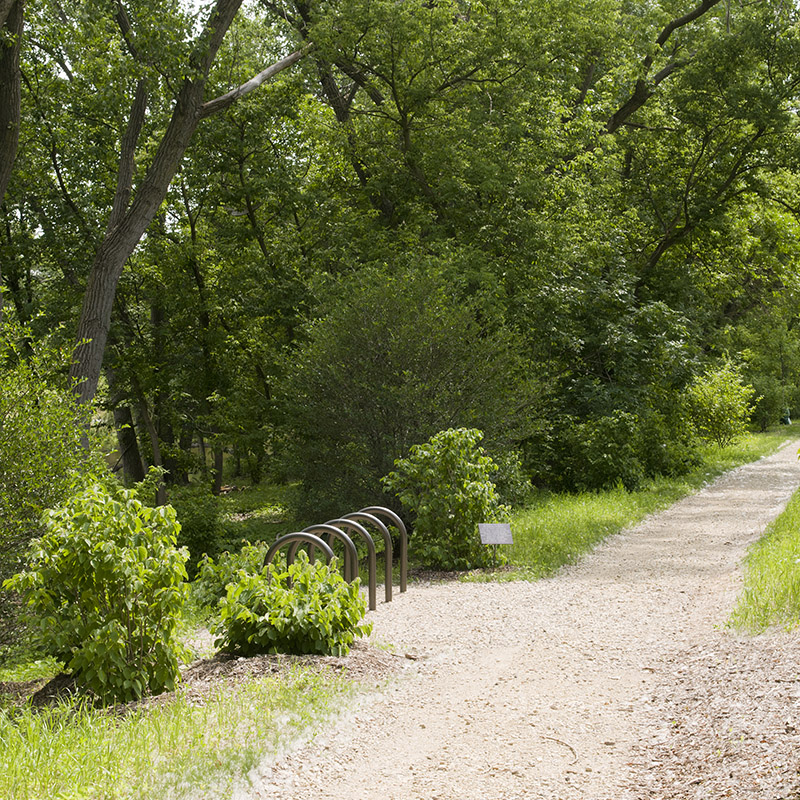 Barbara Brown Nature Reserve - summer