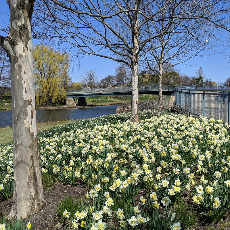 Lavin Plant Evaluation Garden - spring