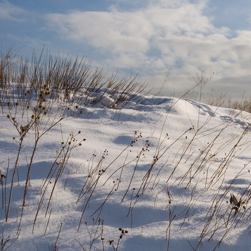 Dixon Prairie - winter