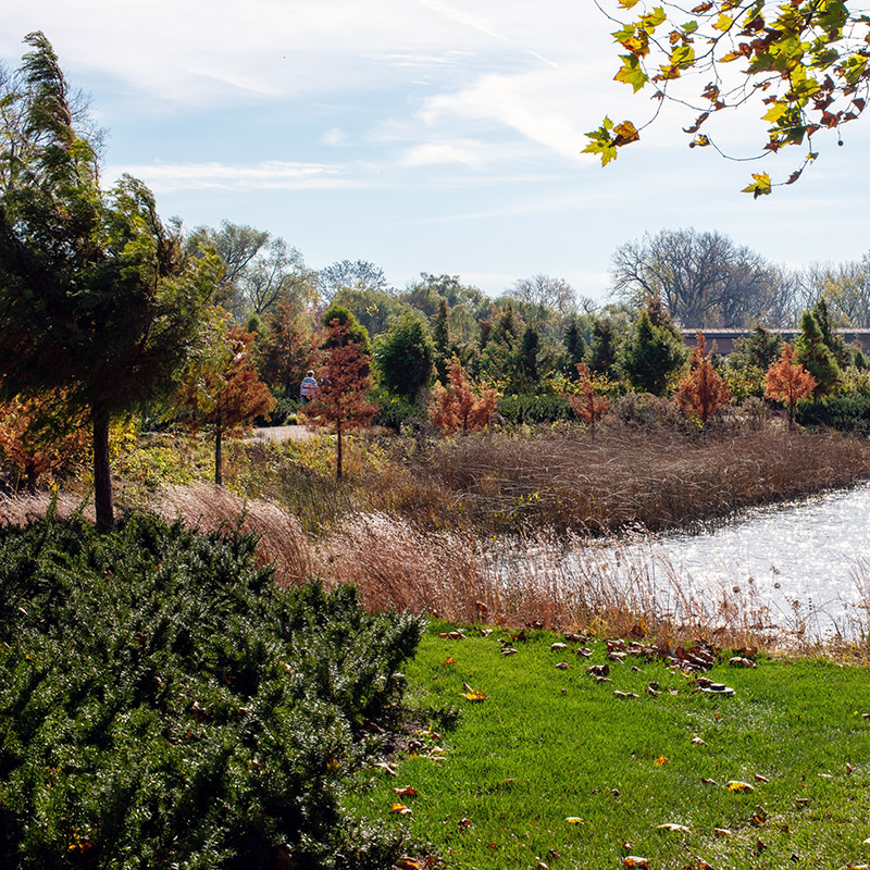 Shida Garden - fall