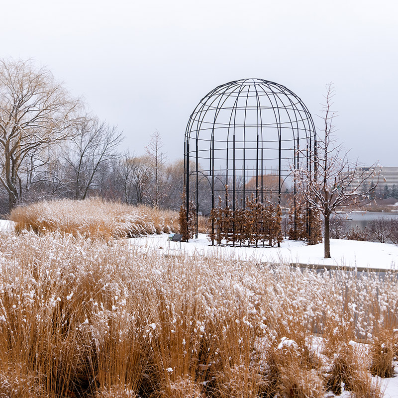 Shida Garden - winter