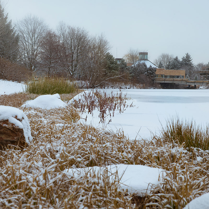 Shorelines - winter