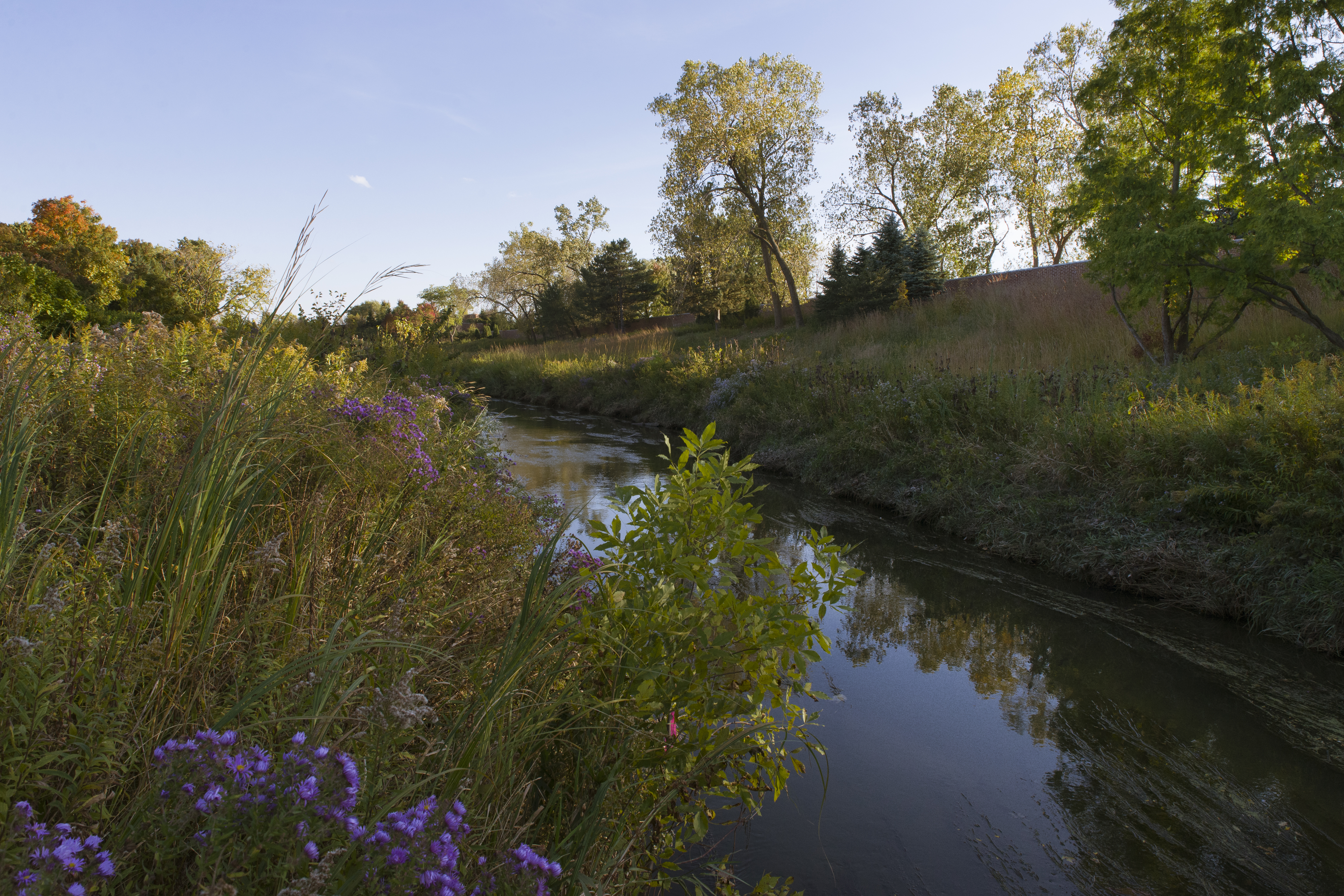 Skokie River - fall