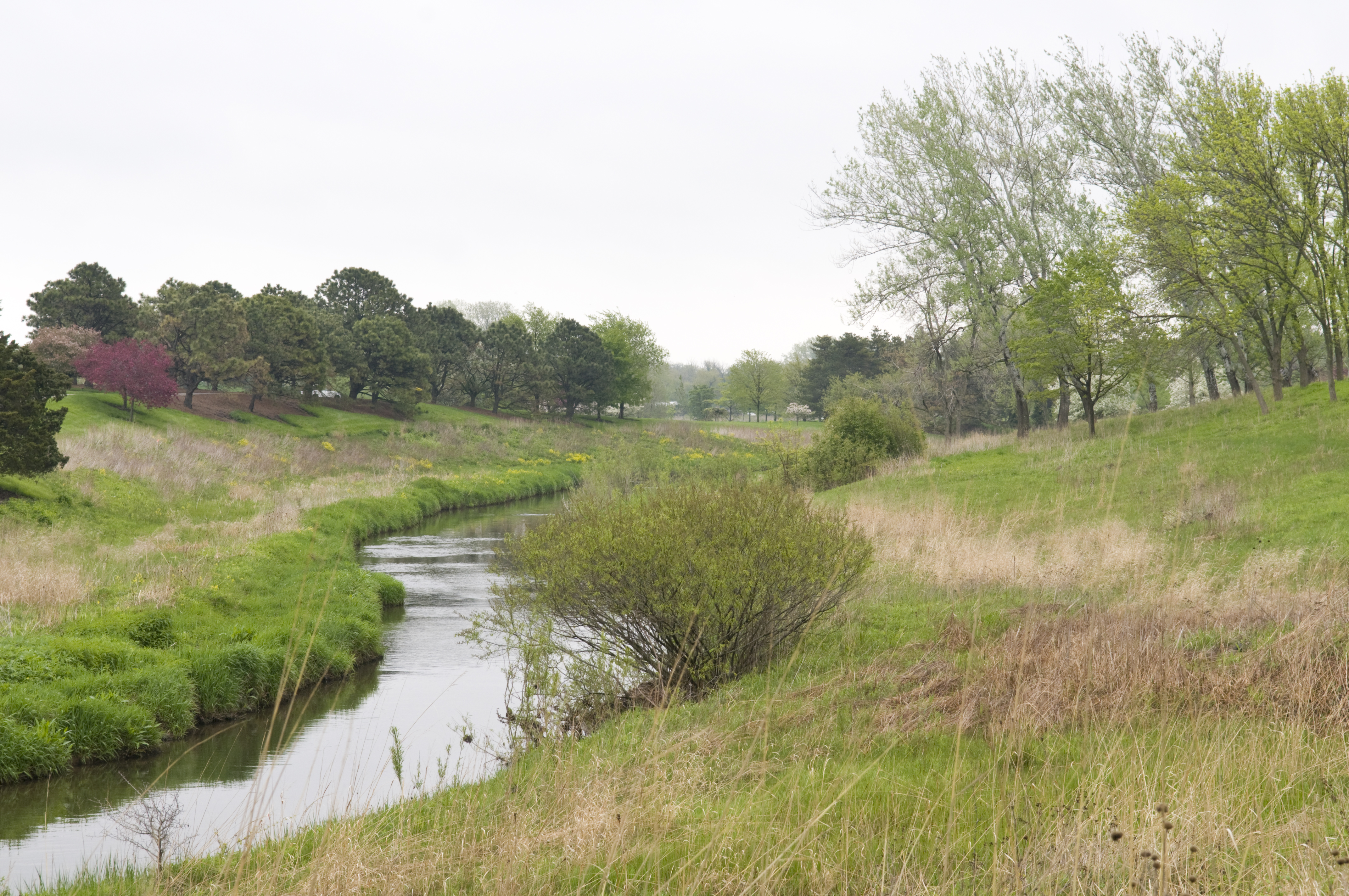 Skokie River - spring