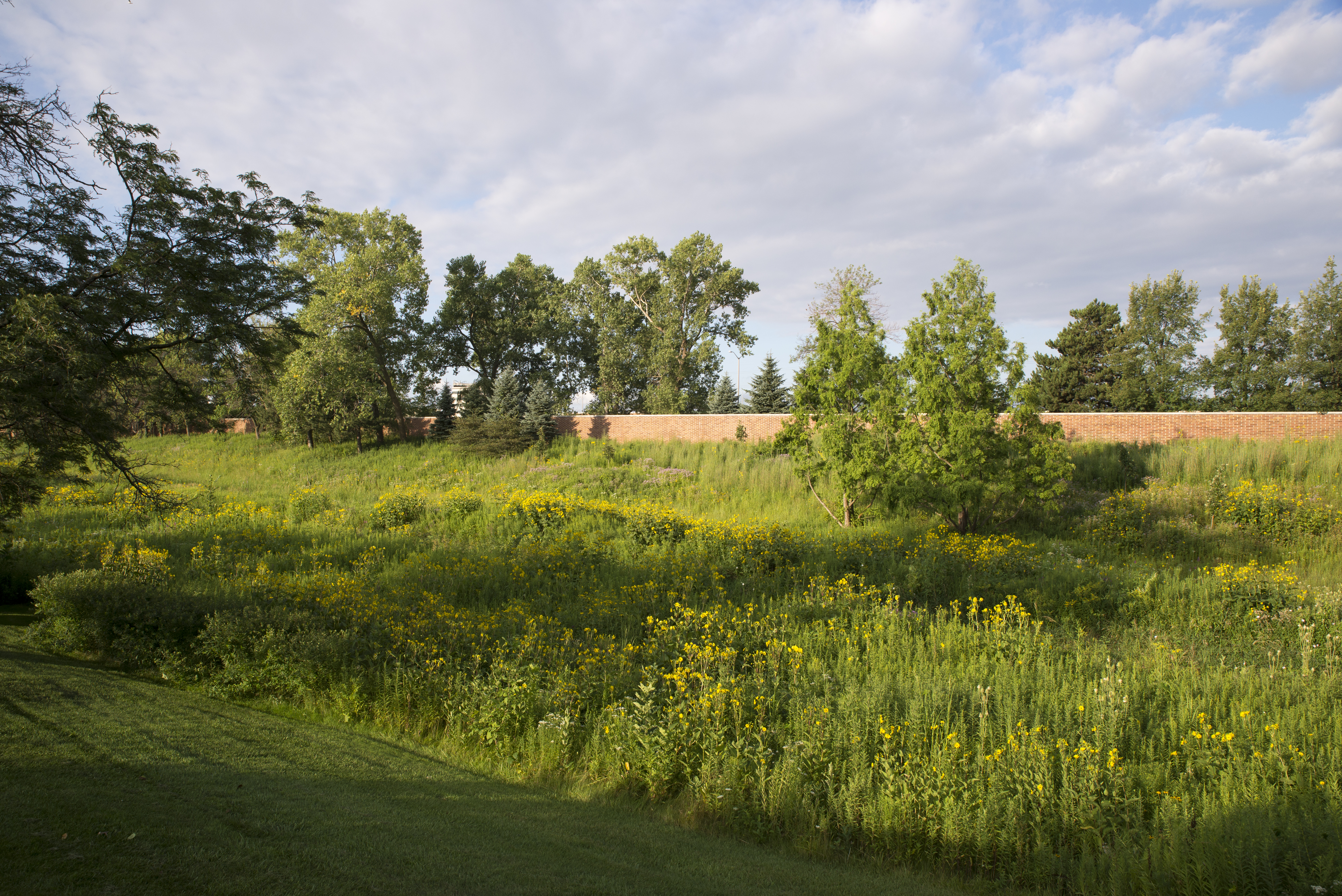 Skokie River - summer
