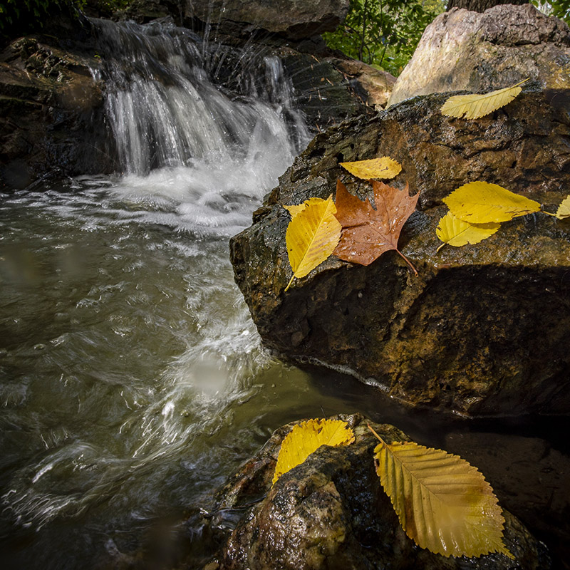 Waterfall Garden - fall