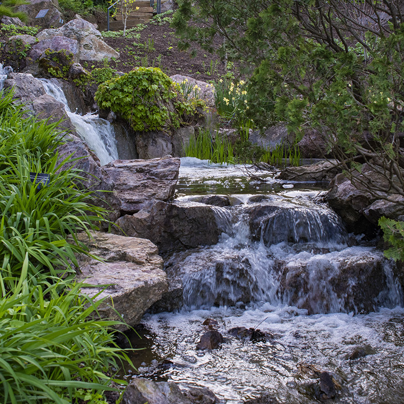 Waterfall Garden - spring