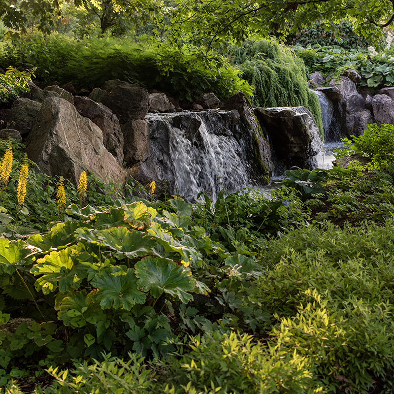 Waterfall Garden - summer