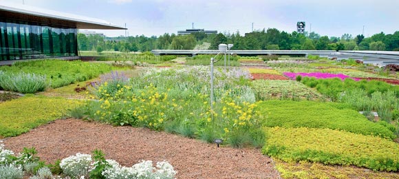 roof garden