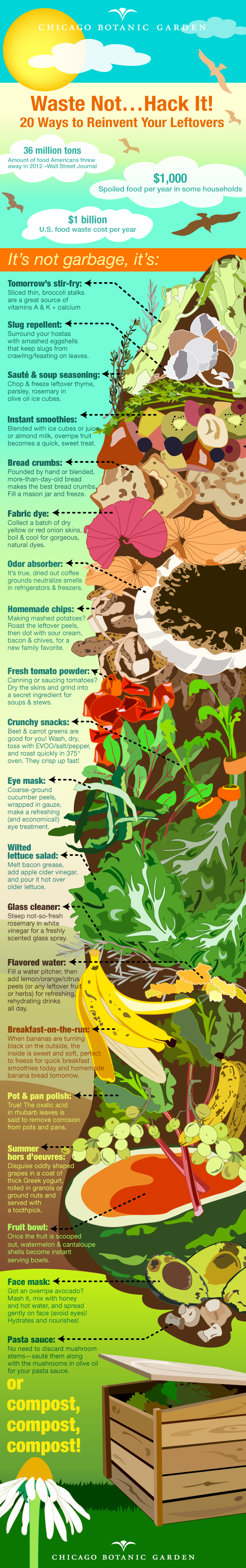 Infographic on Food Waste