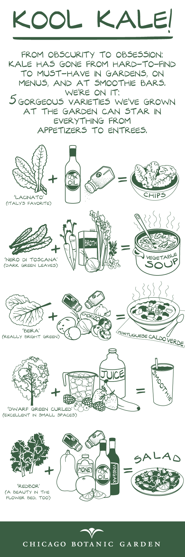 An Infographic on Kale