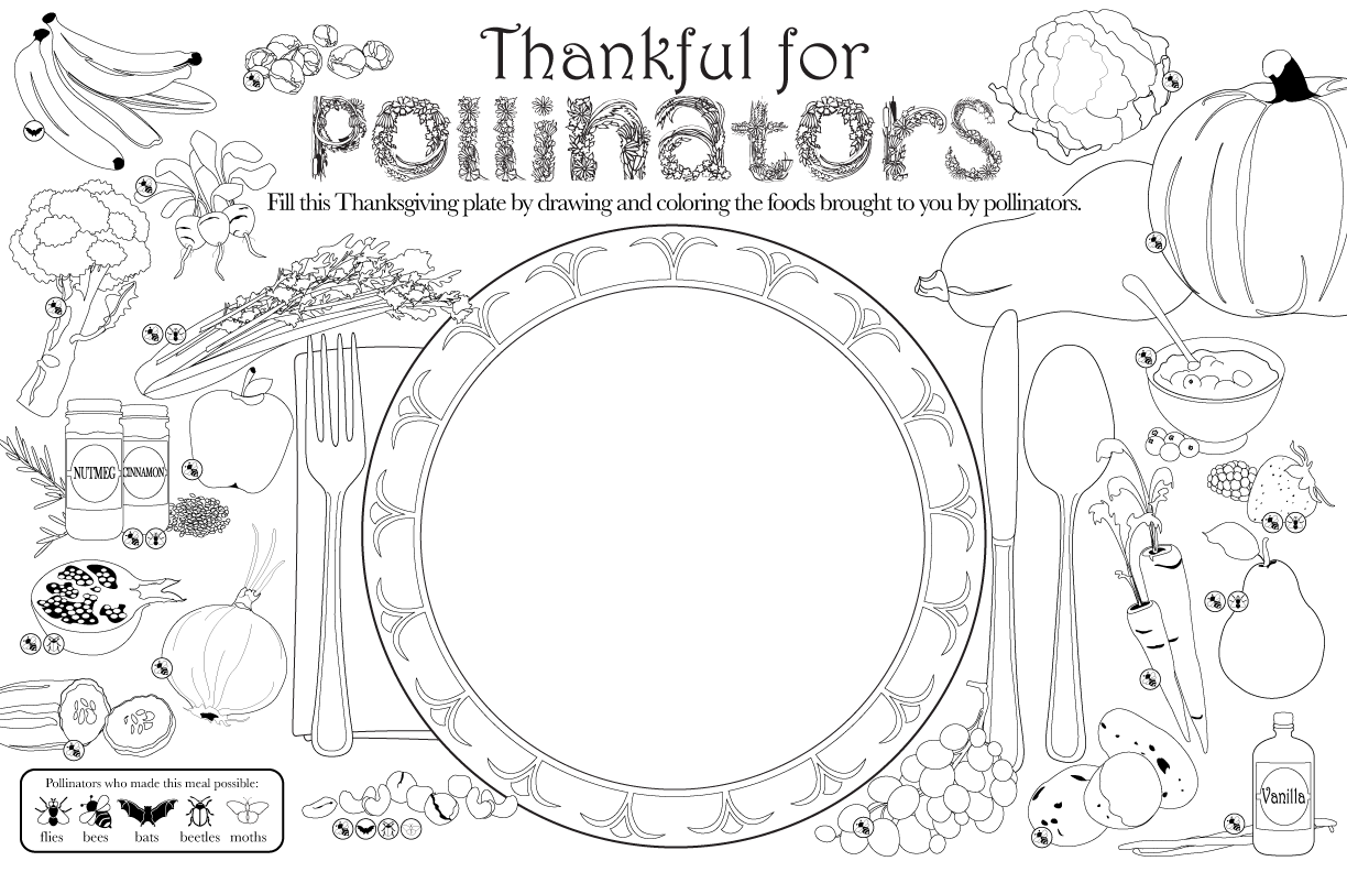 Thanksgiving Pollinator Placemat