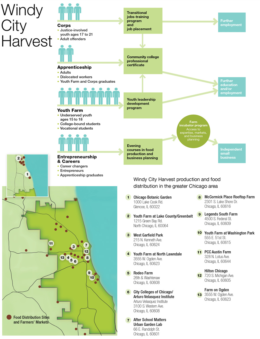 Windy City Harvest Infographic