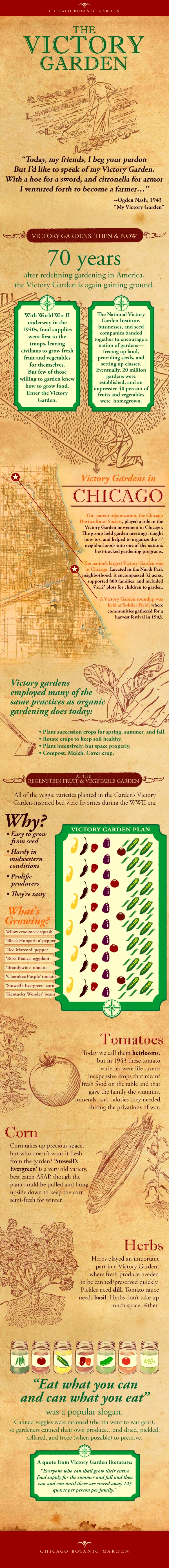 An Infographic on Victory Gardens